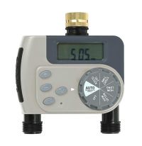 STEROWNIK NA KRAN 2-SEKCYJNY BUDDY II ORBIT